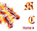 Need a web page? Need a system? Looking for hardware? Than look at Metamorphic Creations!!